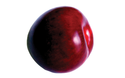 A red-purple plum.