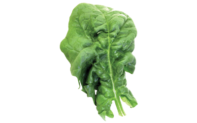 A large, green spinach leaf.