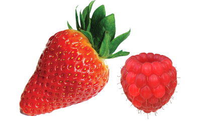 A red strawberry and a bright red raspberry.