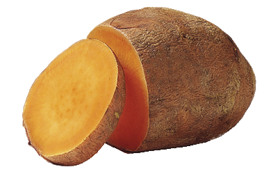 An orange sweet potato.