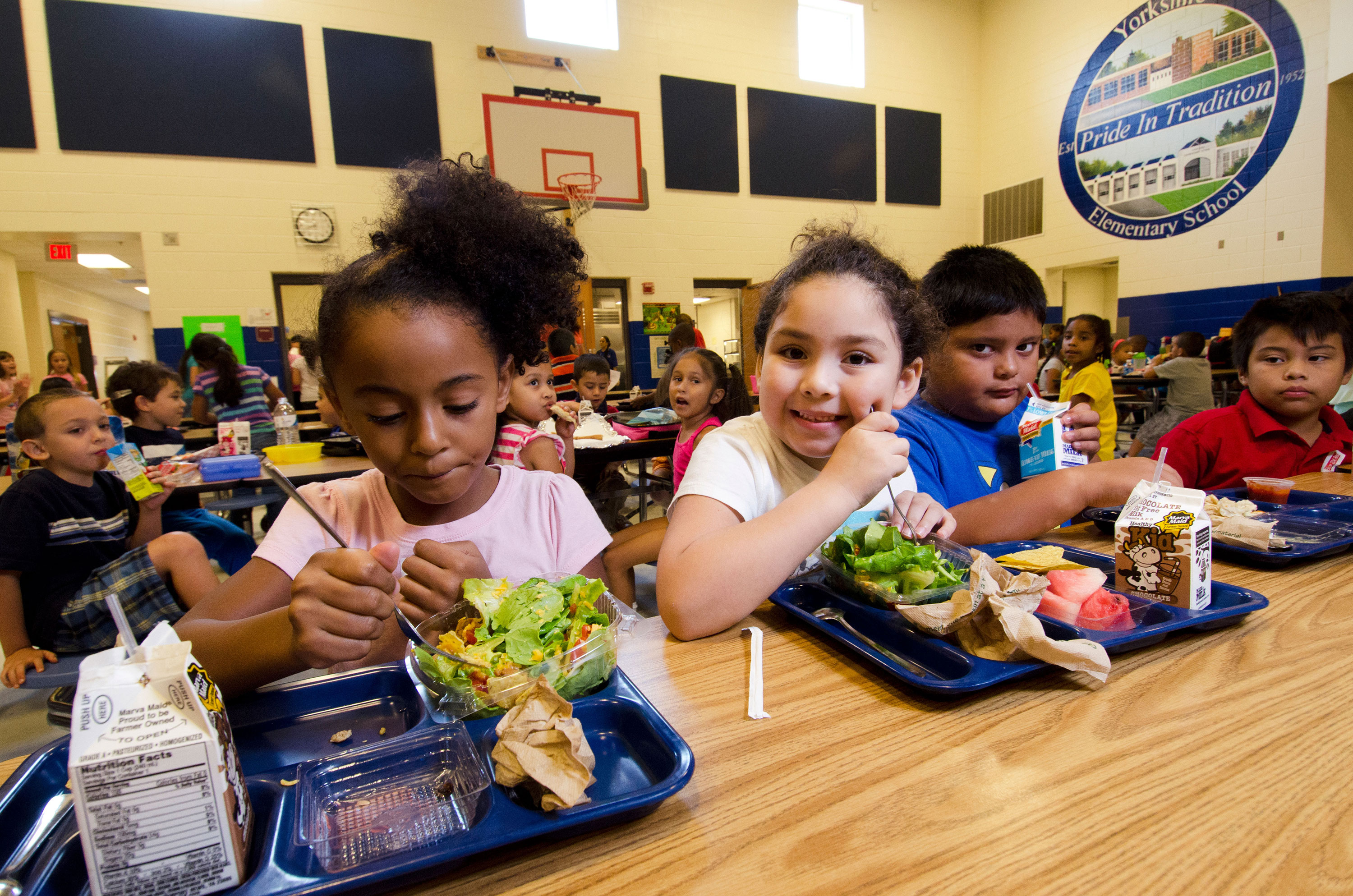A group of elementary school children sitting at a school lunch table.