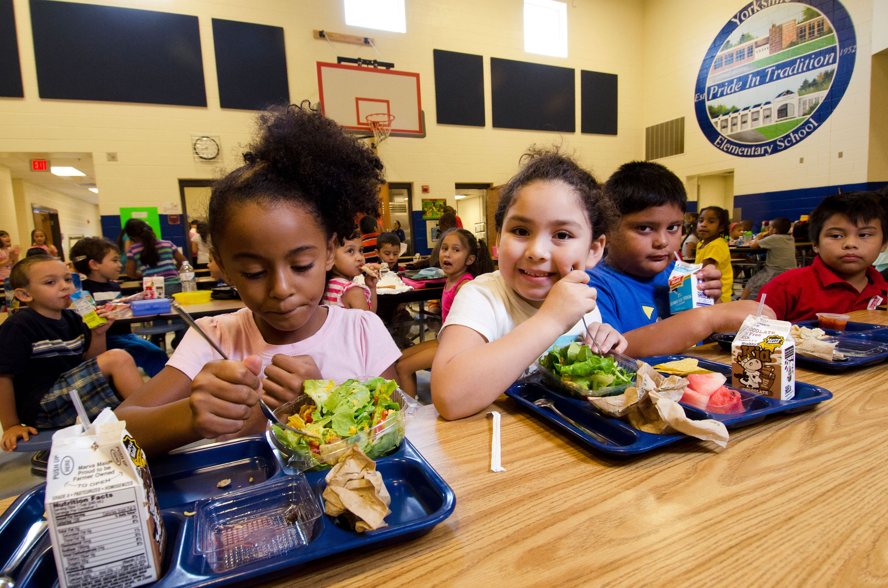 Ways to Reduce Food Waste in Schools