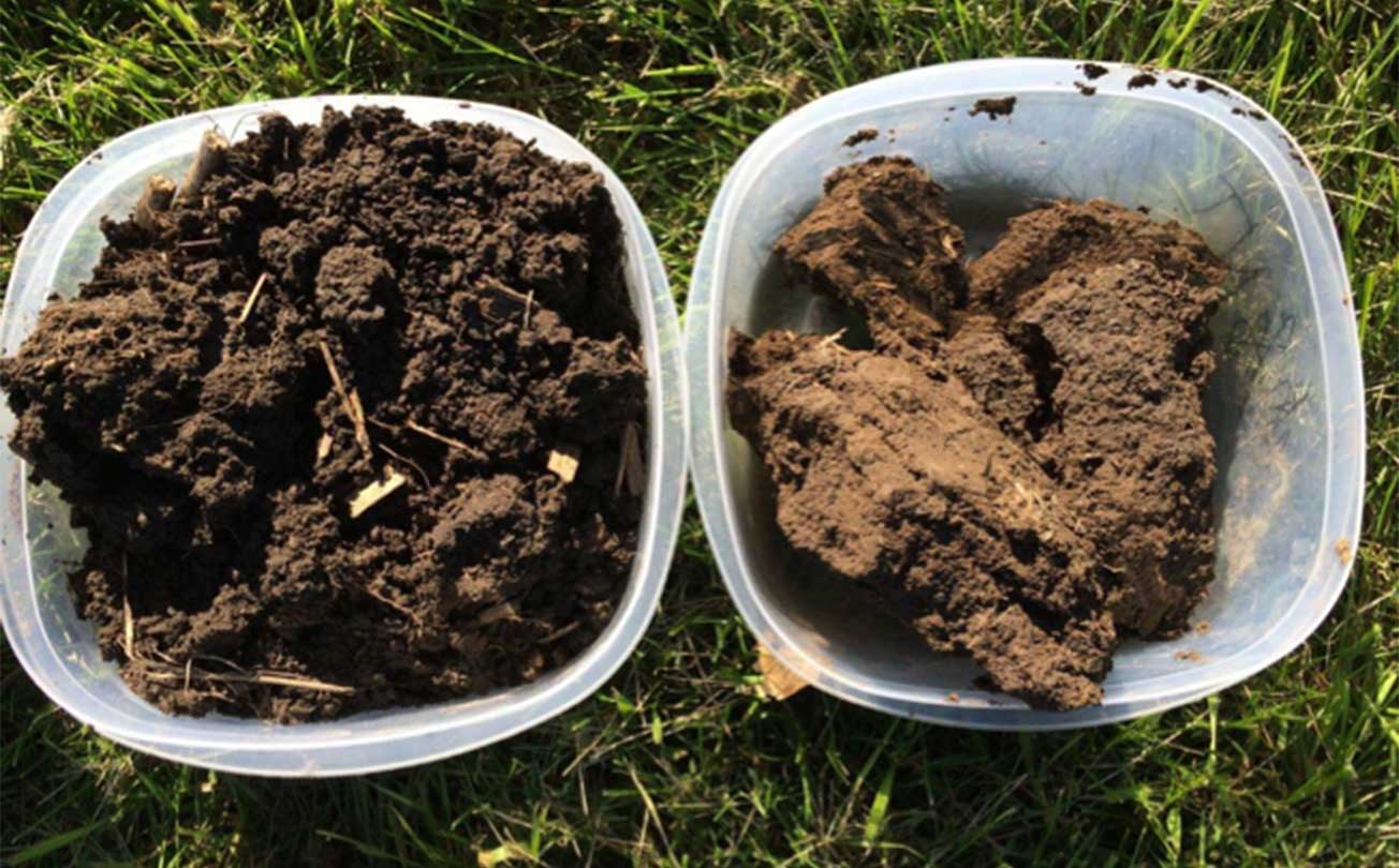 Left: Soil from long-term no-till field, exhibiting good soil aggregation through clumping and smaller pieces of soil. Right: Soil from conventionally managed field that included tillage and crop residue removal. Notice the soil is lighter brown, indicating lower organic matter, and the pieces of soil are in larger chunks with no visible indication of clumping or structure.