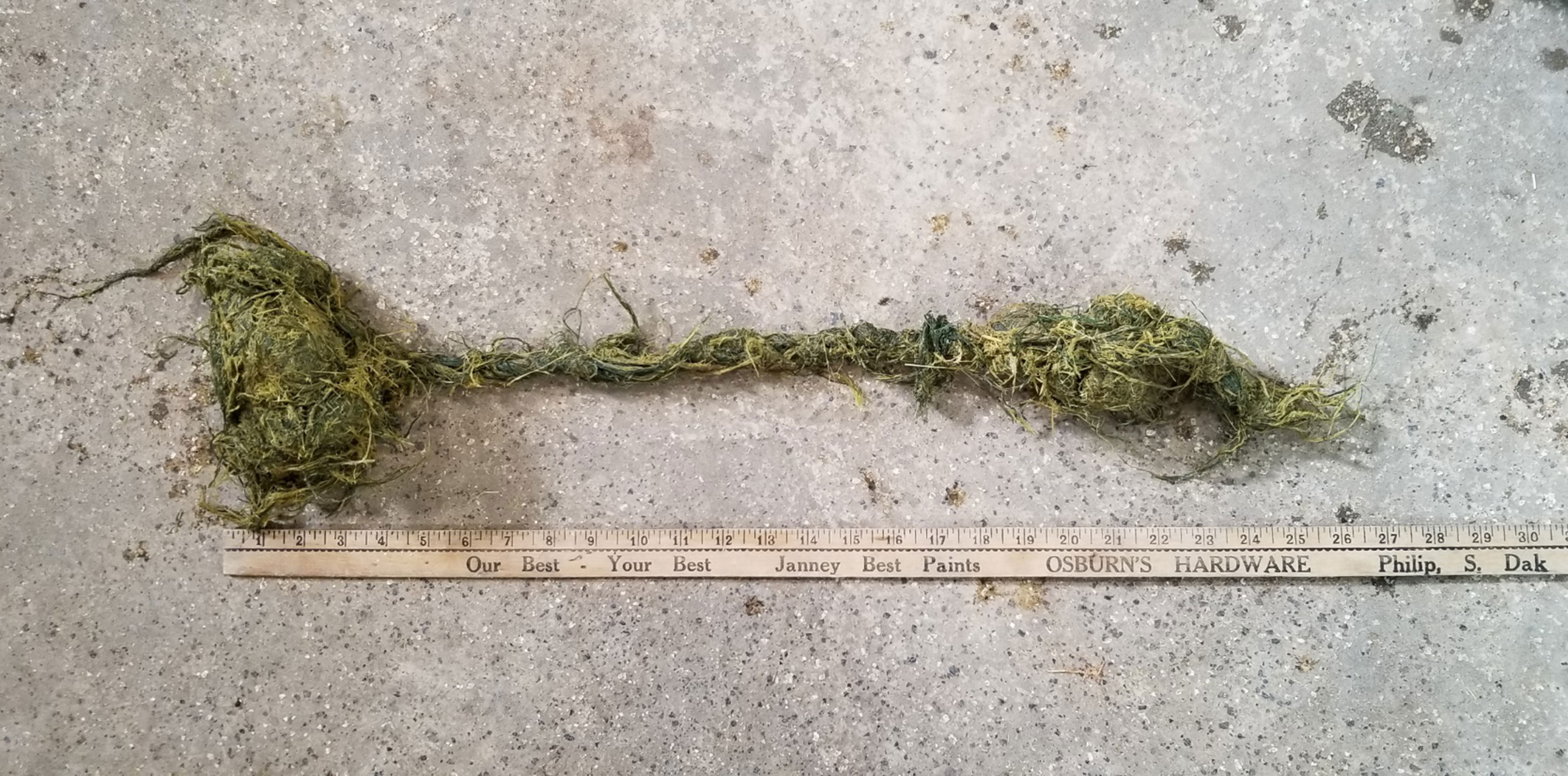 Pieces of net wrap and forage wadded up together, with a nob approximately 6 inches across at the top and 4 inches long, with a 1 inch rope like structure that is 13 inches long leading to another nob that is approximately 2 inches across and 8 inches long.