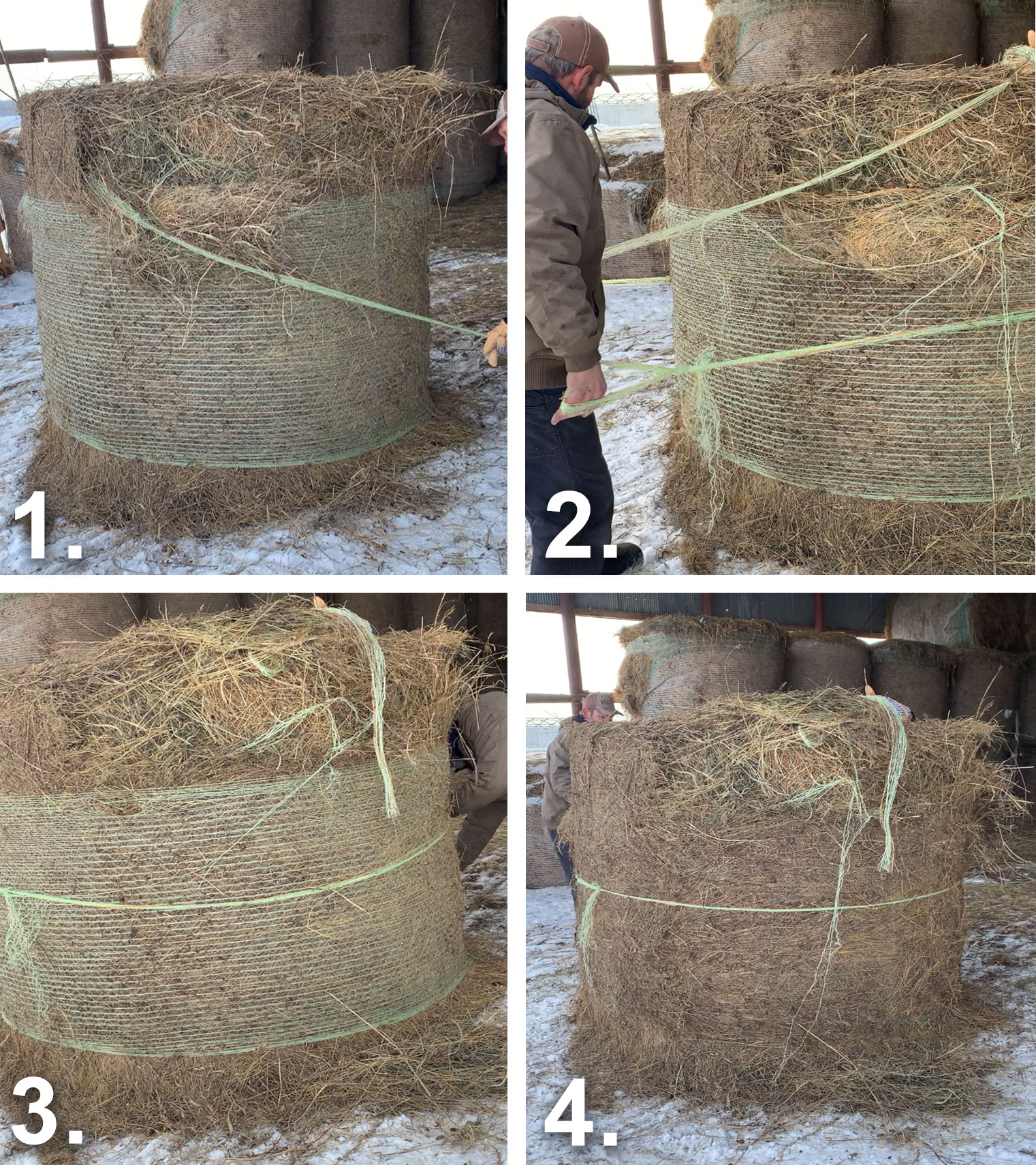 Four sequential photos illustrating the steps for net wrap removal. The first photo shows a male producer removing the top one-third of net wrapping from a bale. The second shows him wrapping the net wrap around the body to make a loop knot. The third shows him taking the rest of the wrap off the bale. The fourth shows the remaining net wrap removed.