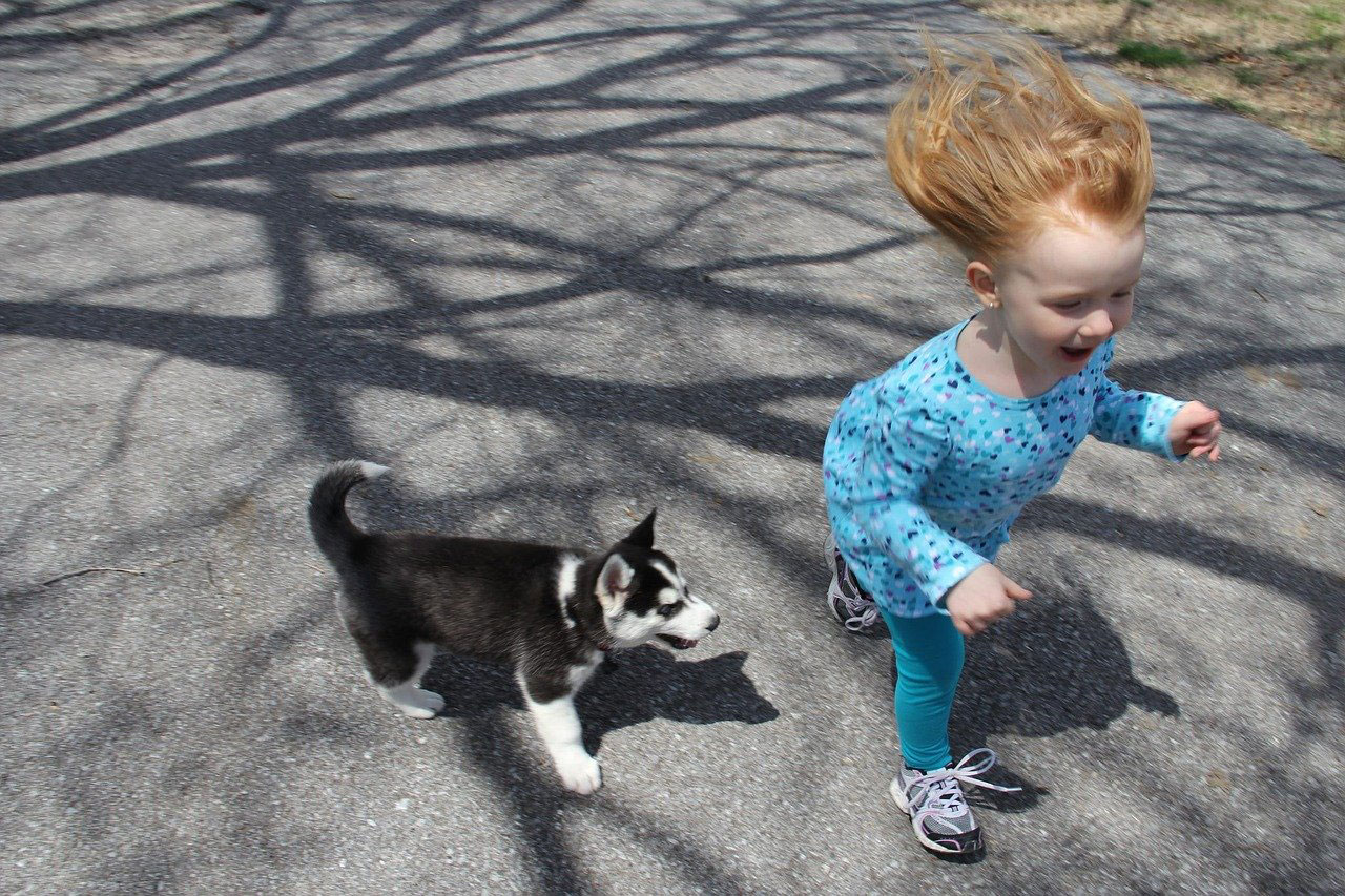 A young female child with red hair running outside alongside a puppy.