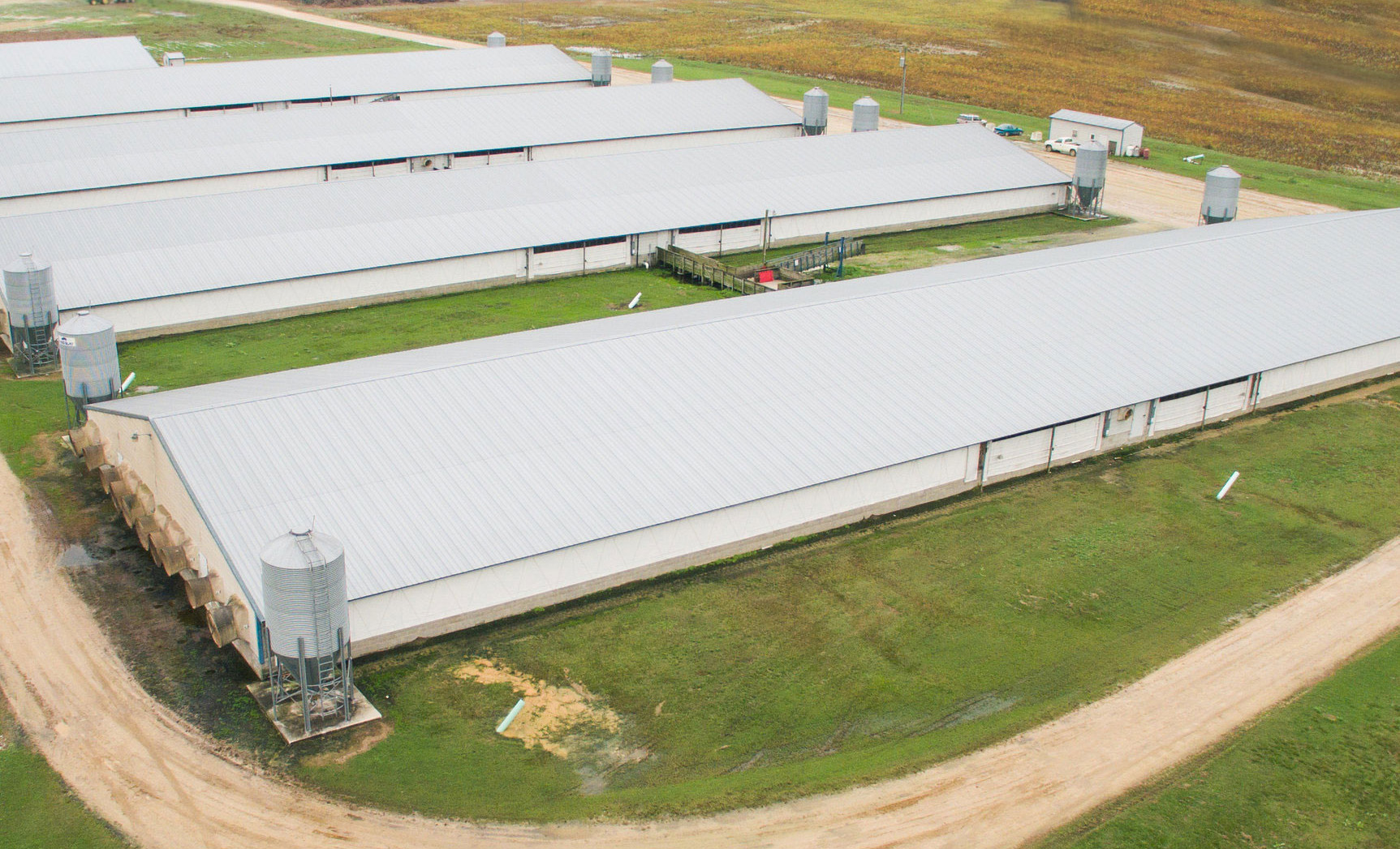 An aerial view of a series of swine finishing facilities.