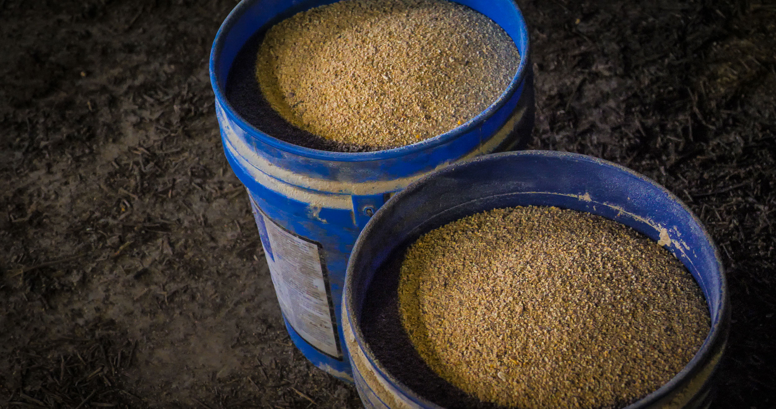 Two blue feed buckets filled with distillers grains.