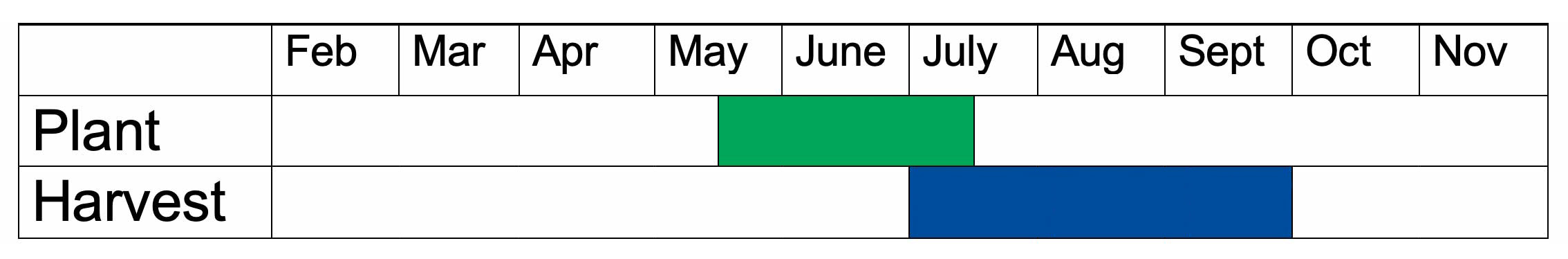 Green beans should typically be planted mid-May through mid-July and harvested July through September.