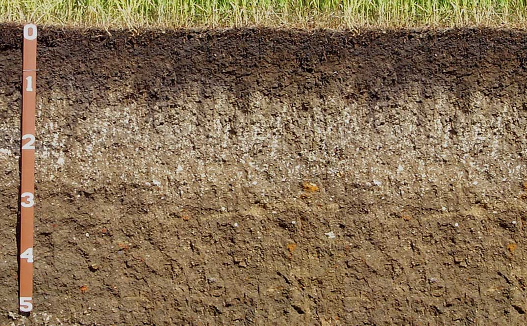 A view of Houdek Loam soil, five feet below the soil surface. The soil begins with a shallow dark layer, followed by a lighter tan, and then a deep tan layer at the three foot mark.