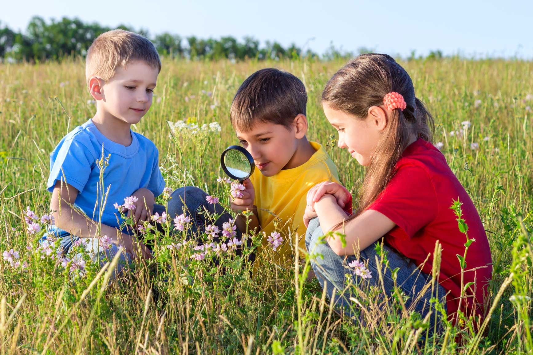 A group of children examining the parts of a wildflower in a meadow.