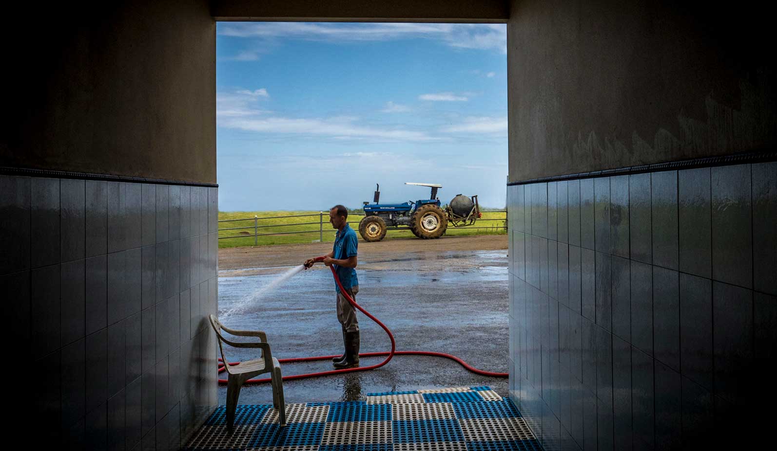 A dairy employee spraying down the entrance to a milking parlor with a high-pressure hose.