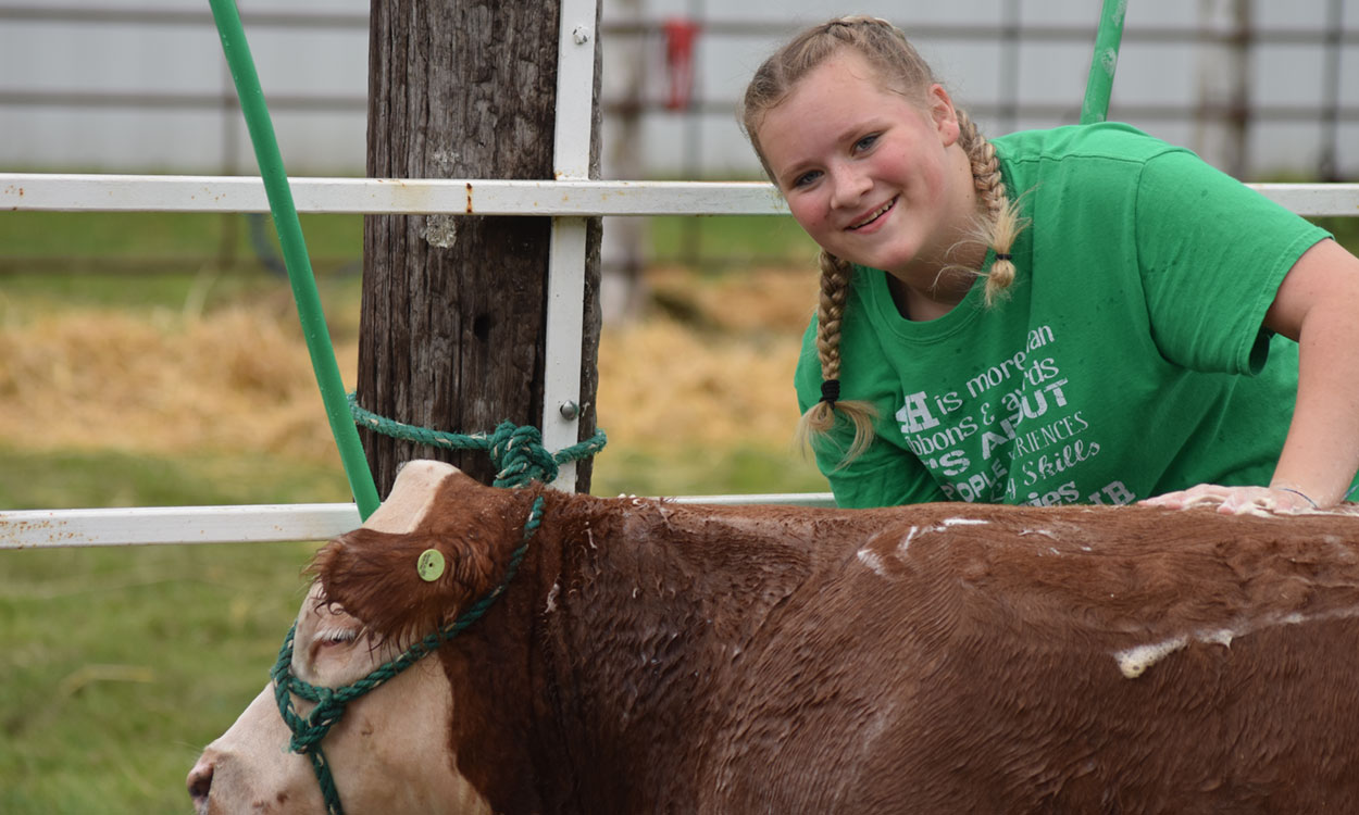 Ellie Wagner posing next to a cow at the Yankton County Fair.