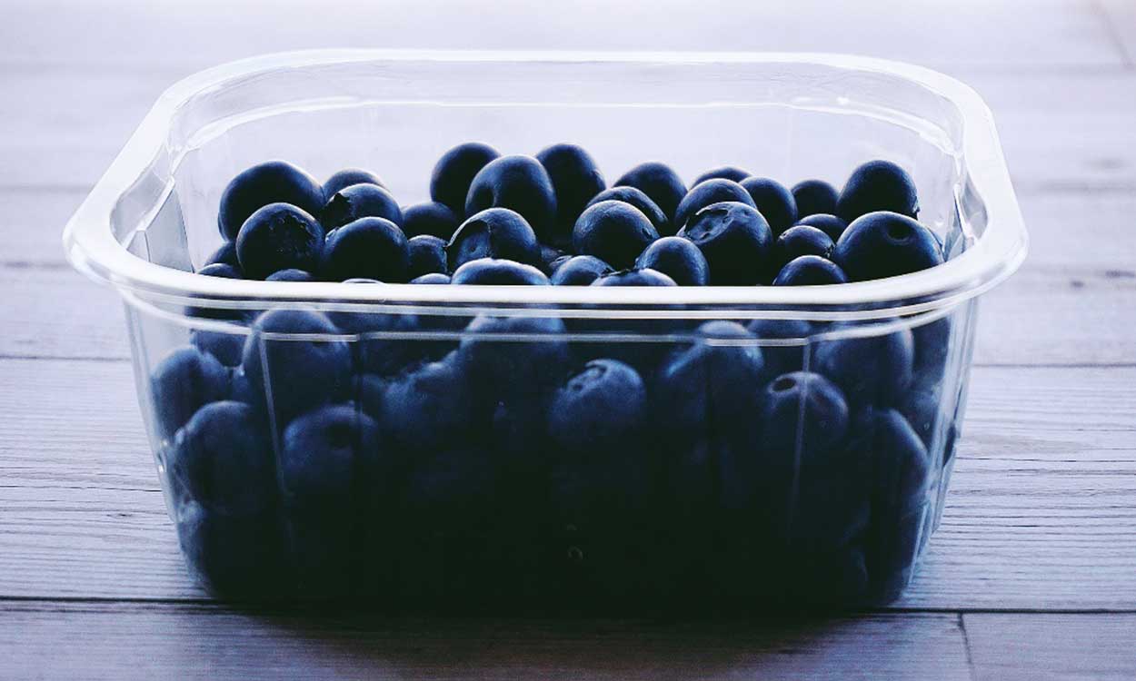 Blueberries inside a plastic storage container.