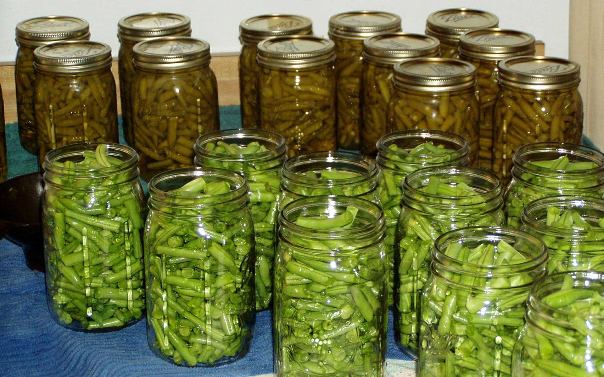Several jars of canned green beans on a countertop.