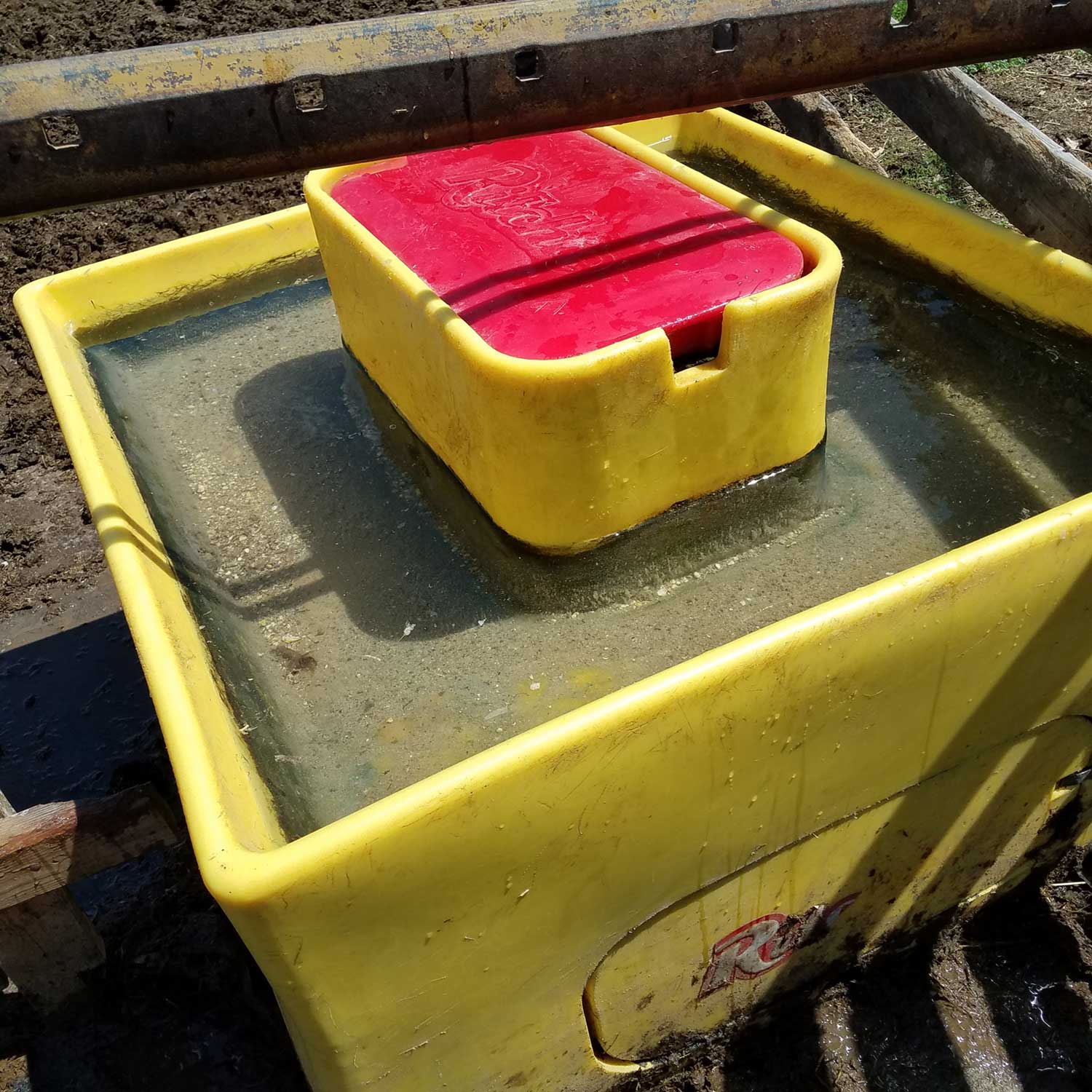 A large, yellow automatic cattle waterer installed in a feedlot.