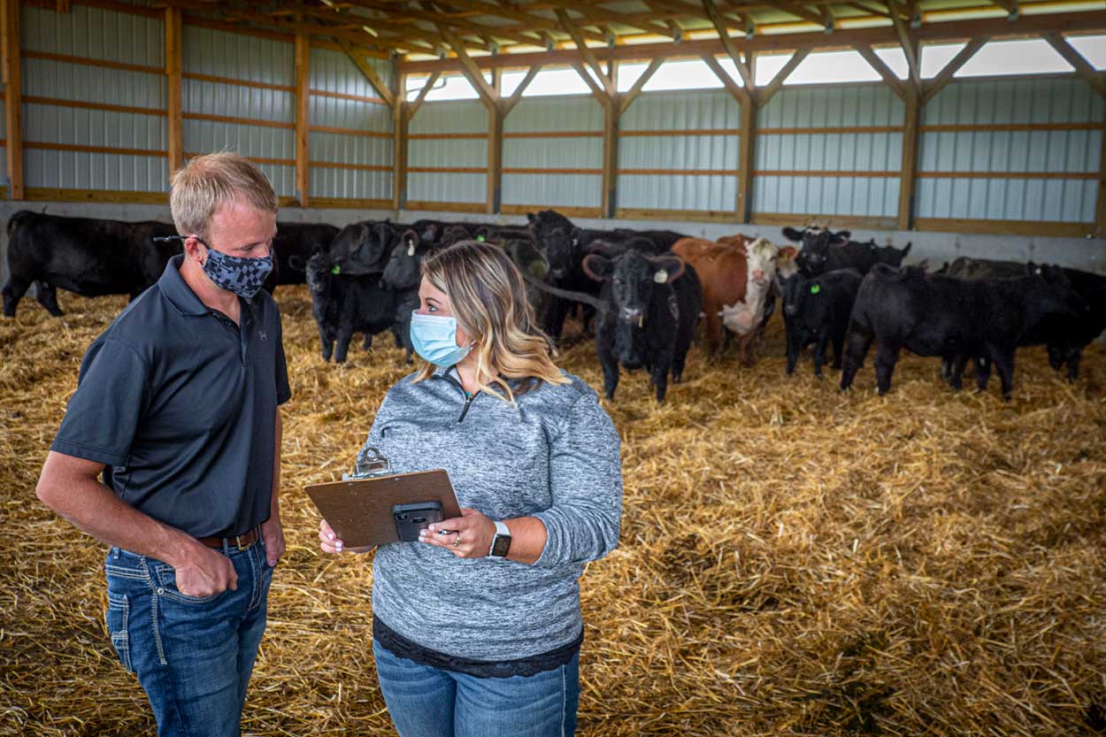 Male and female rancher reviewing clipboard in a cattle barn.