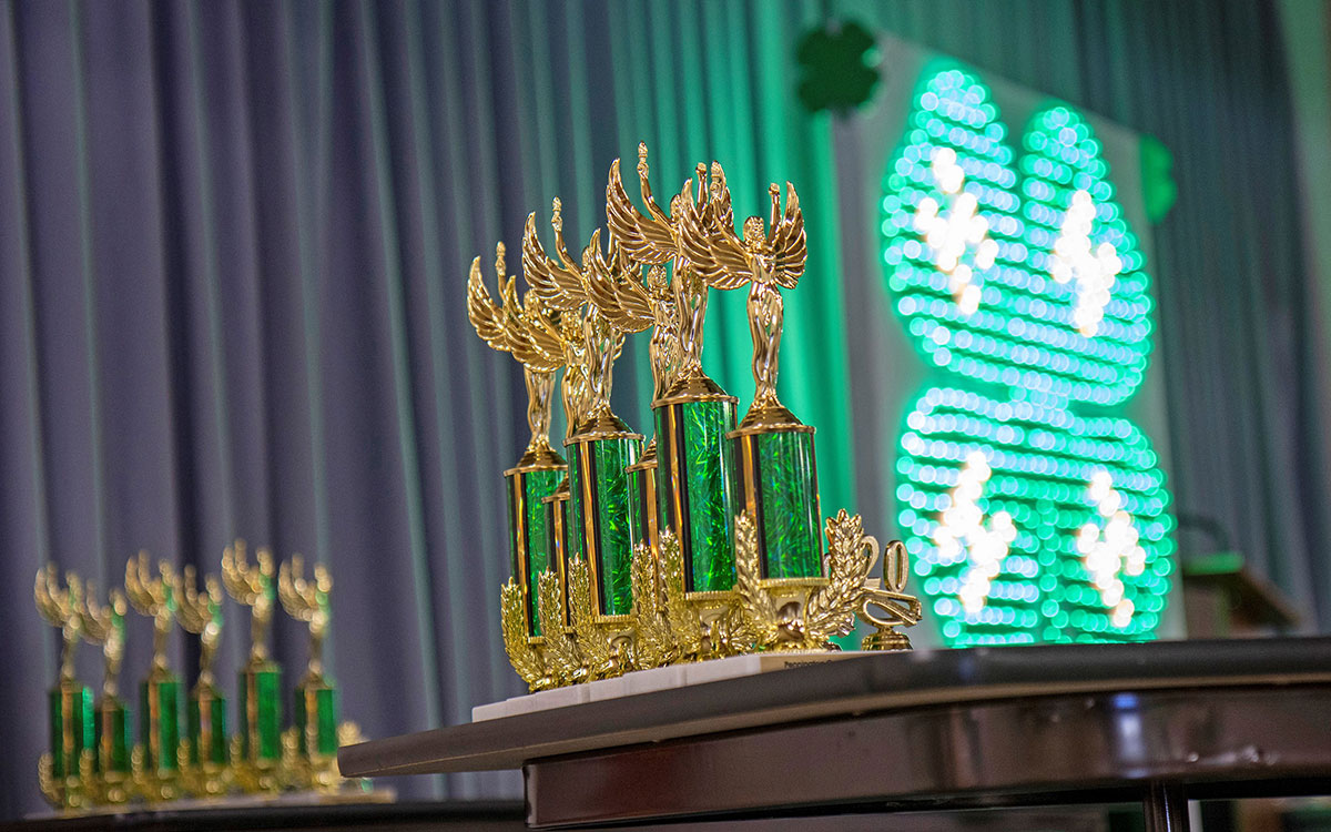 Series of trophies on display at a 4-H contest.