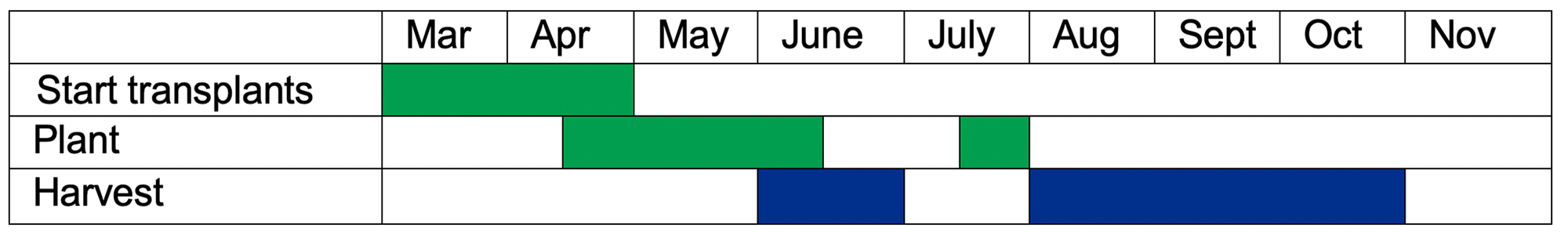 Transplants should be planted beginning in March and ending at the start of May. They can be harvested beginning in June and ending in July. Beet seedlings should typically be planted in the middle of April through the middle of June, or in the middle of July, and then harvested August through October.