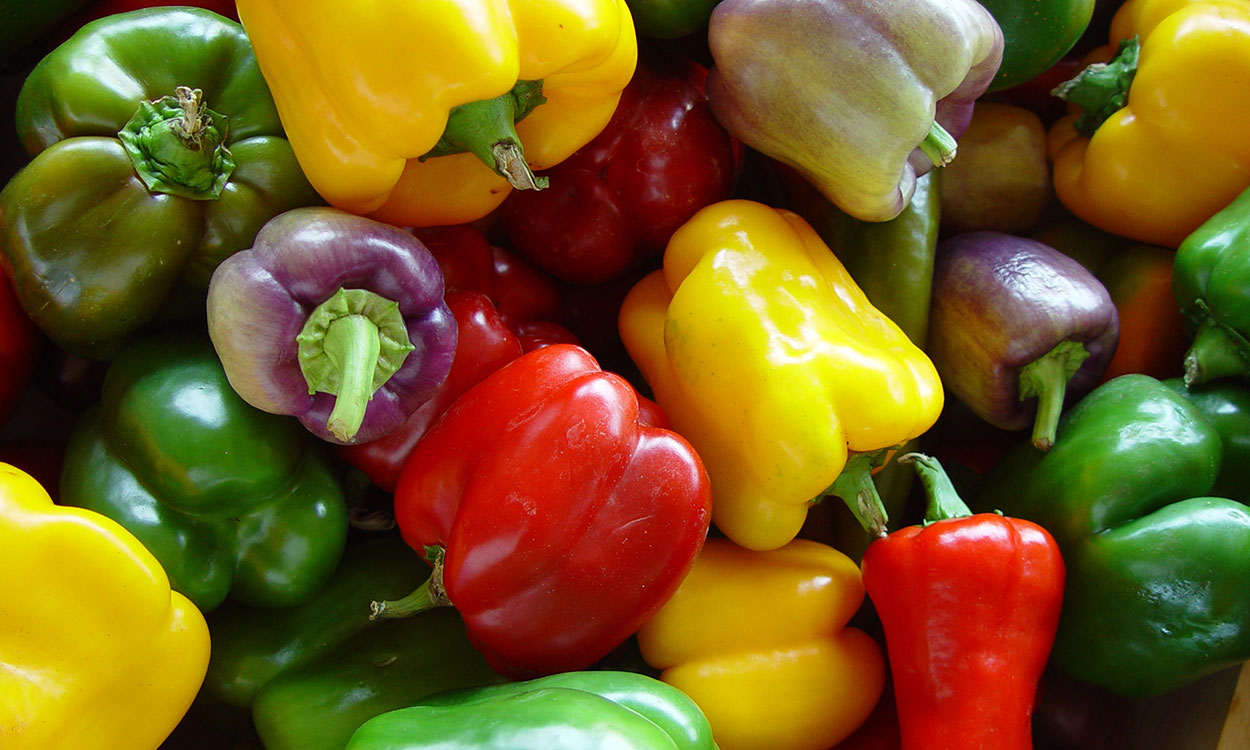 A colorful variety of freshly, harvested bell peppers.