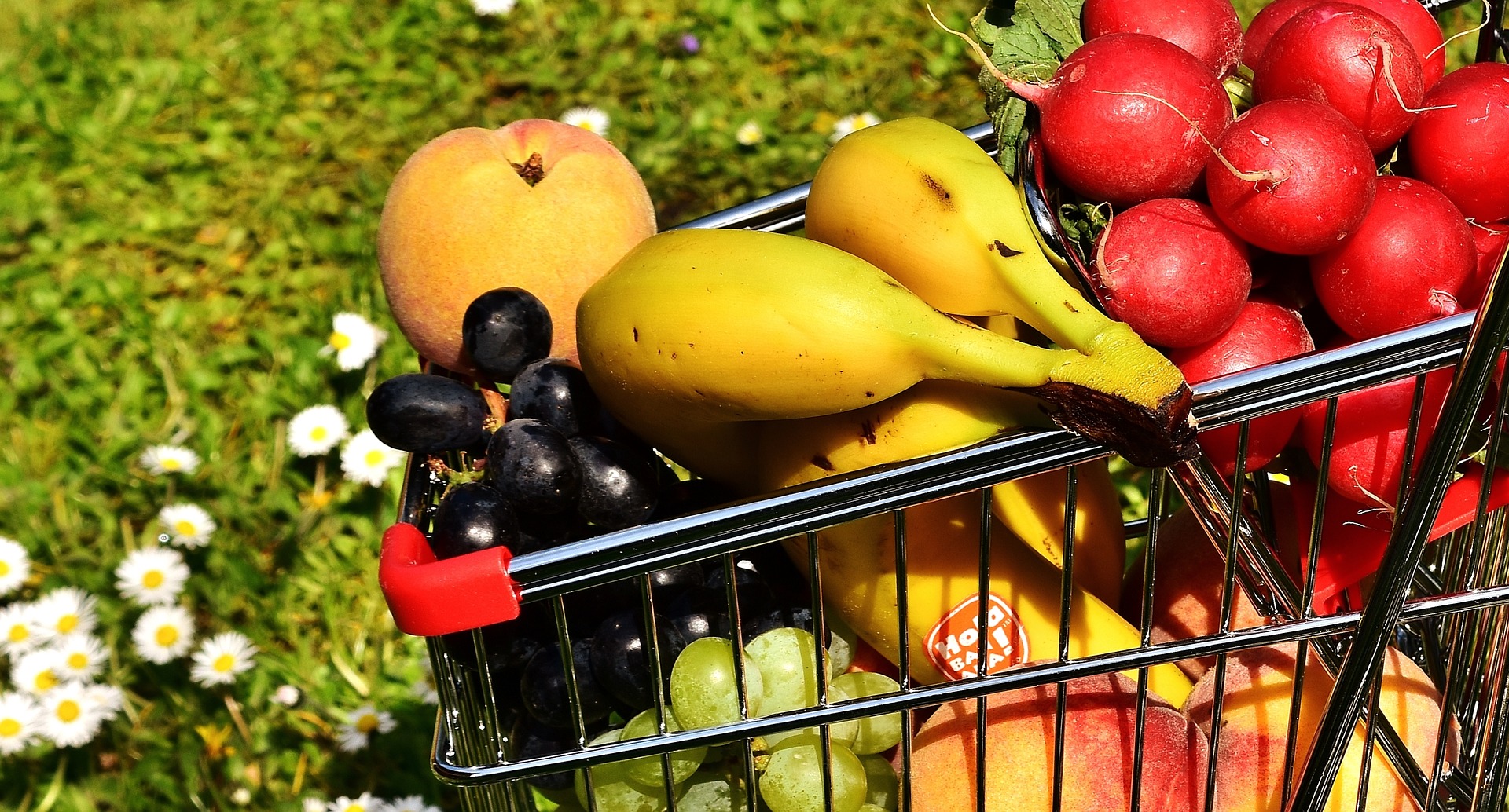 a shopping cart filled with fruits
