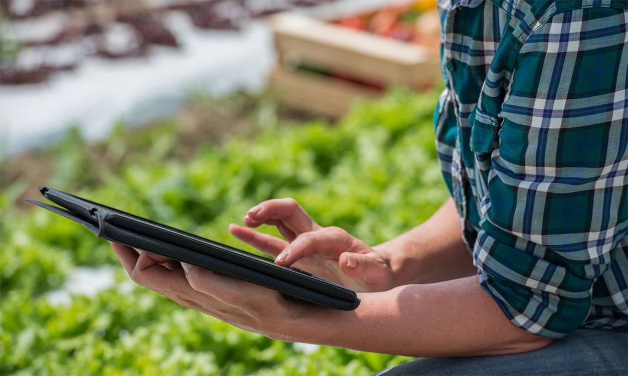 Woman browsing a digital tablet in her garden.