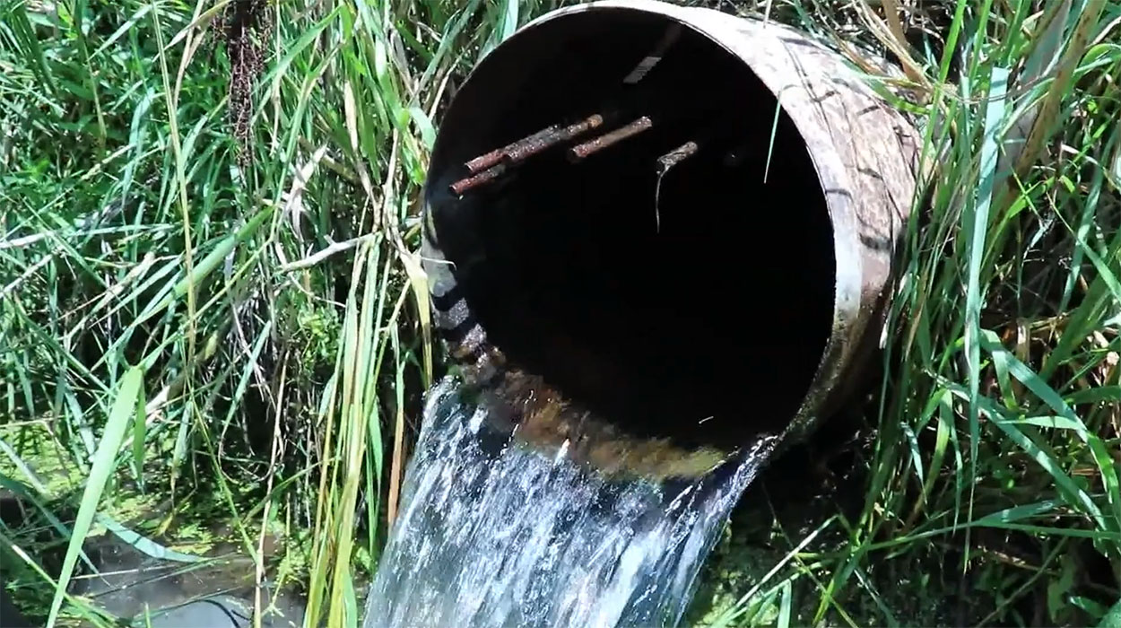 Water flowing from a drain tile pipe.