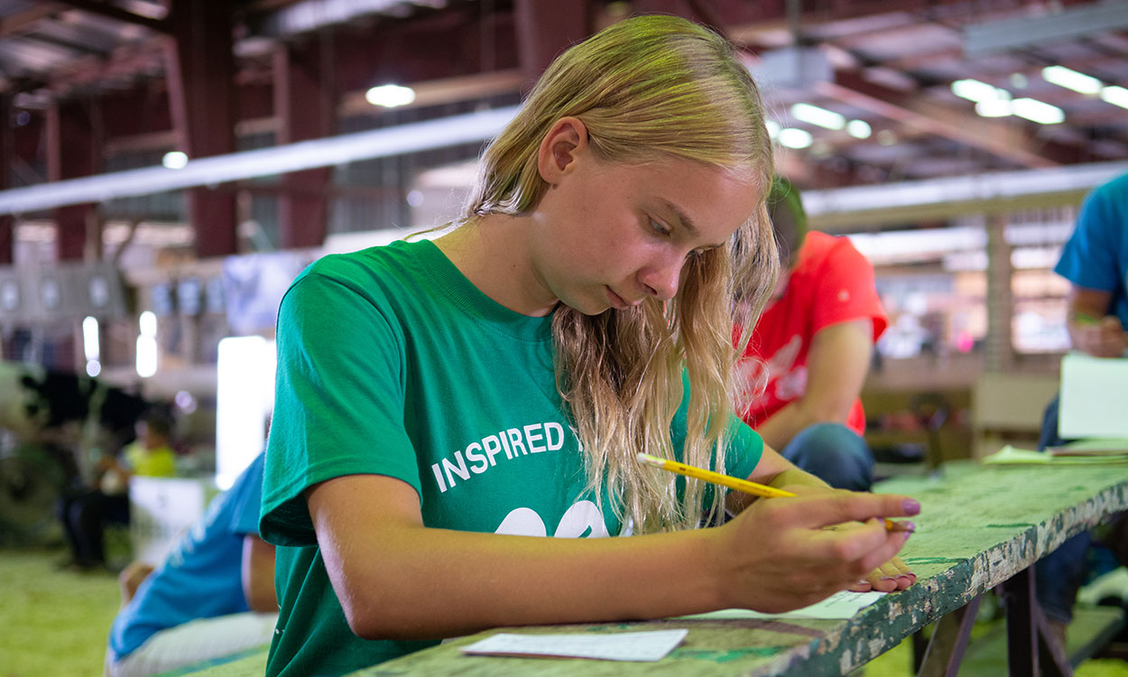 4-H youth completing a dairy cattle judging scorecard.