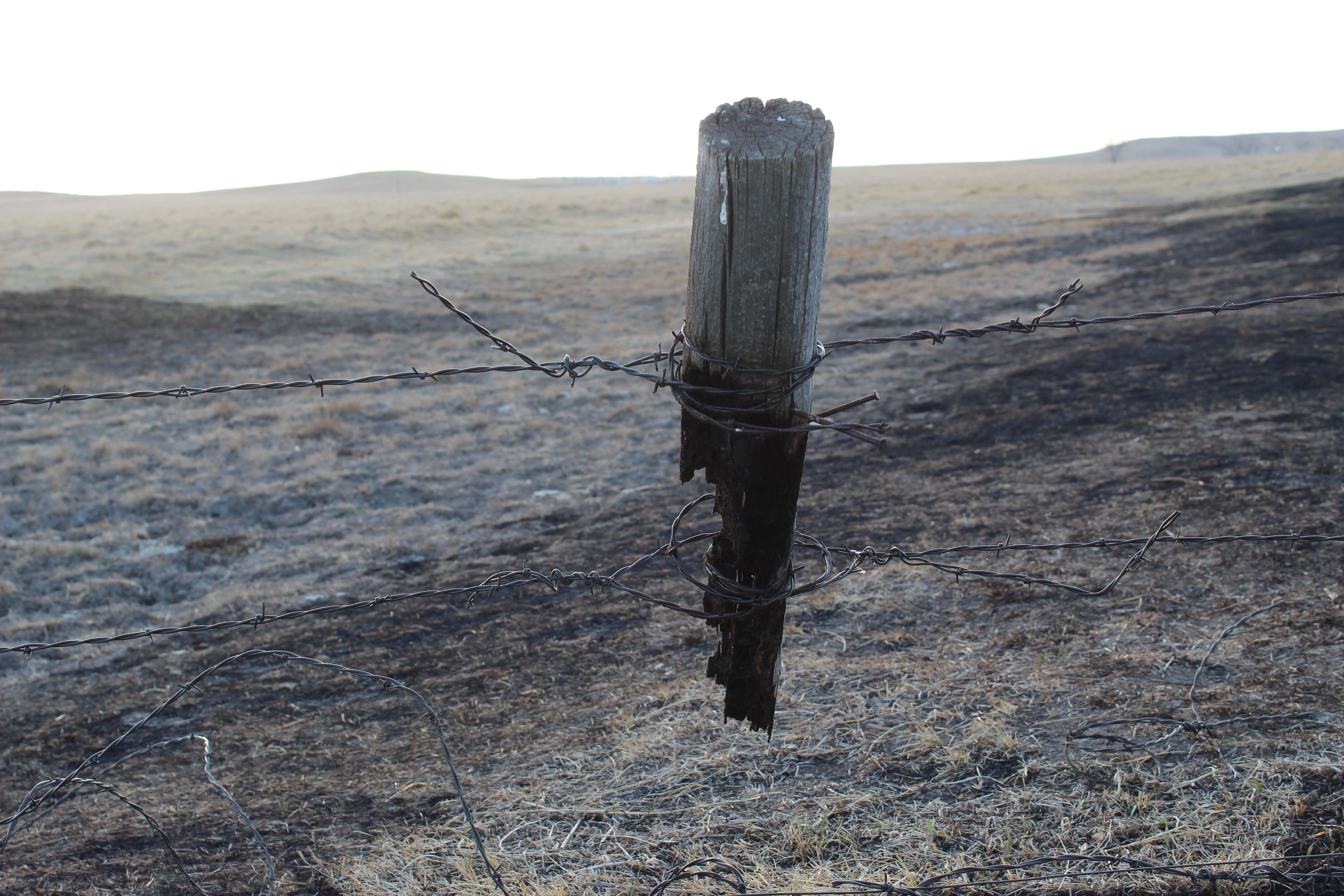 fence post burnt by wild fire