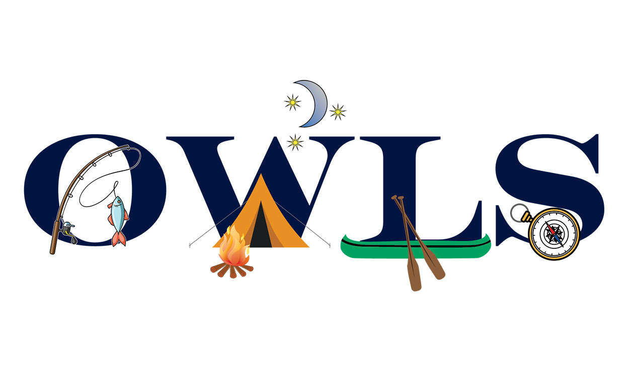 a wordmark for the OWLS program