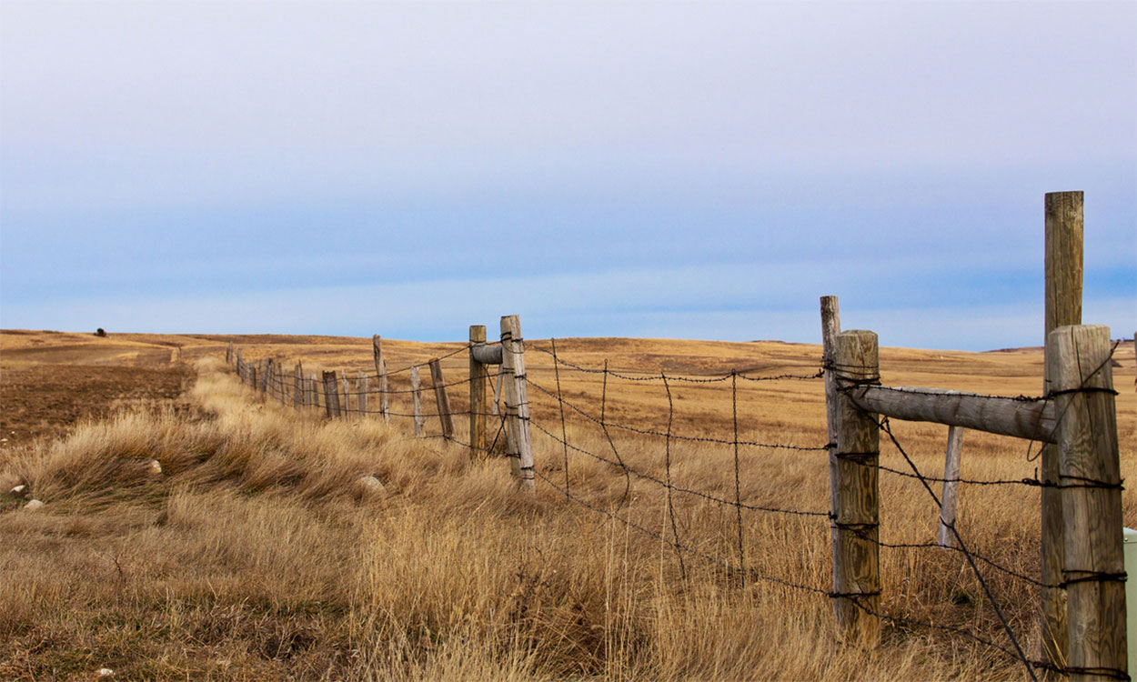 Fence line along a broad, open pasture.