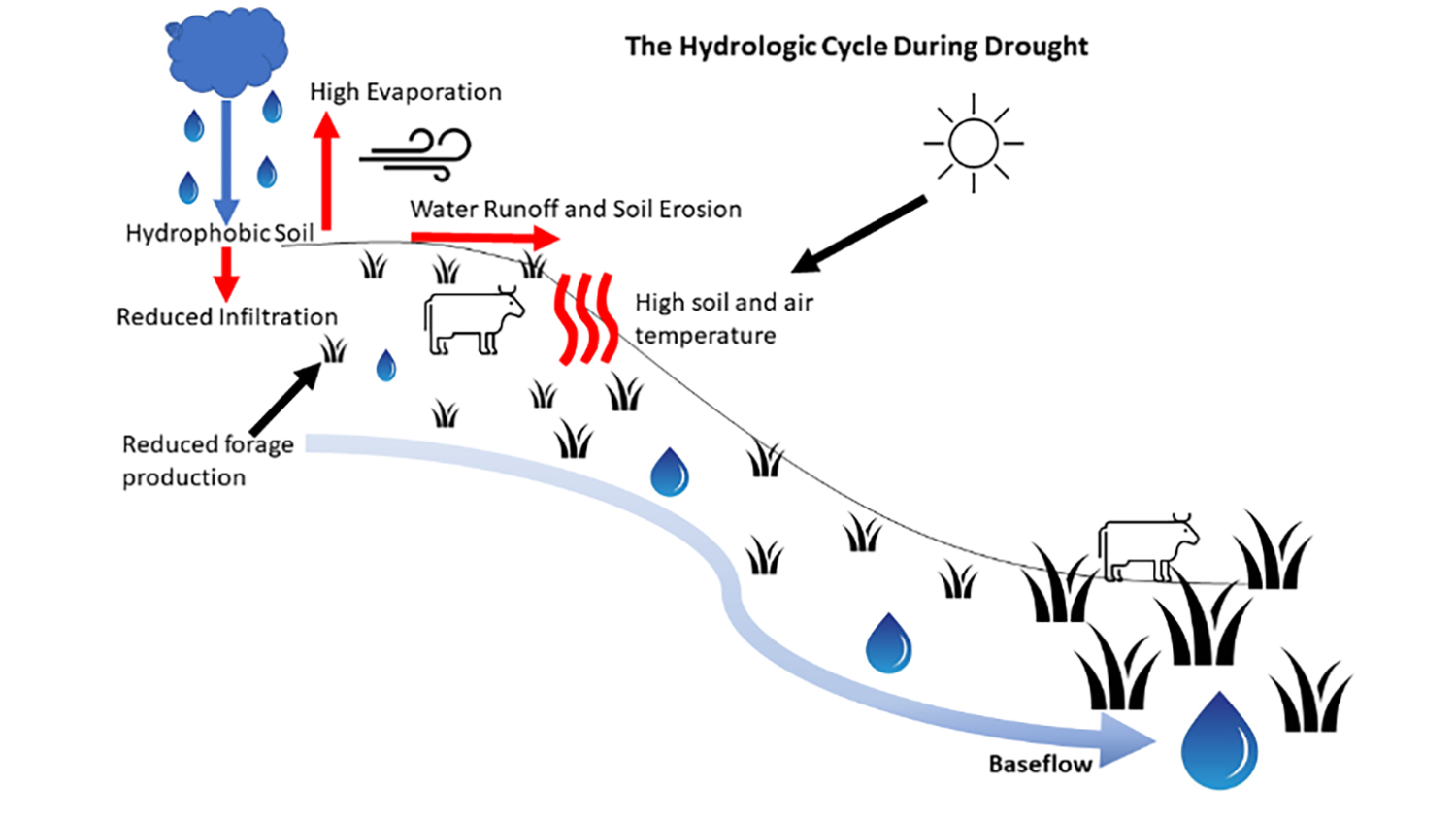 Diagram of the hydrologic cycle during drought illustrating the interaction of temperature, moisture, vegetation and erosion. For help understanding this diagram, call SDSU Extension at 605-688-6729.