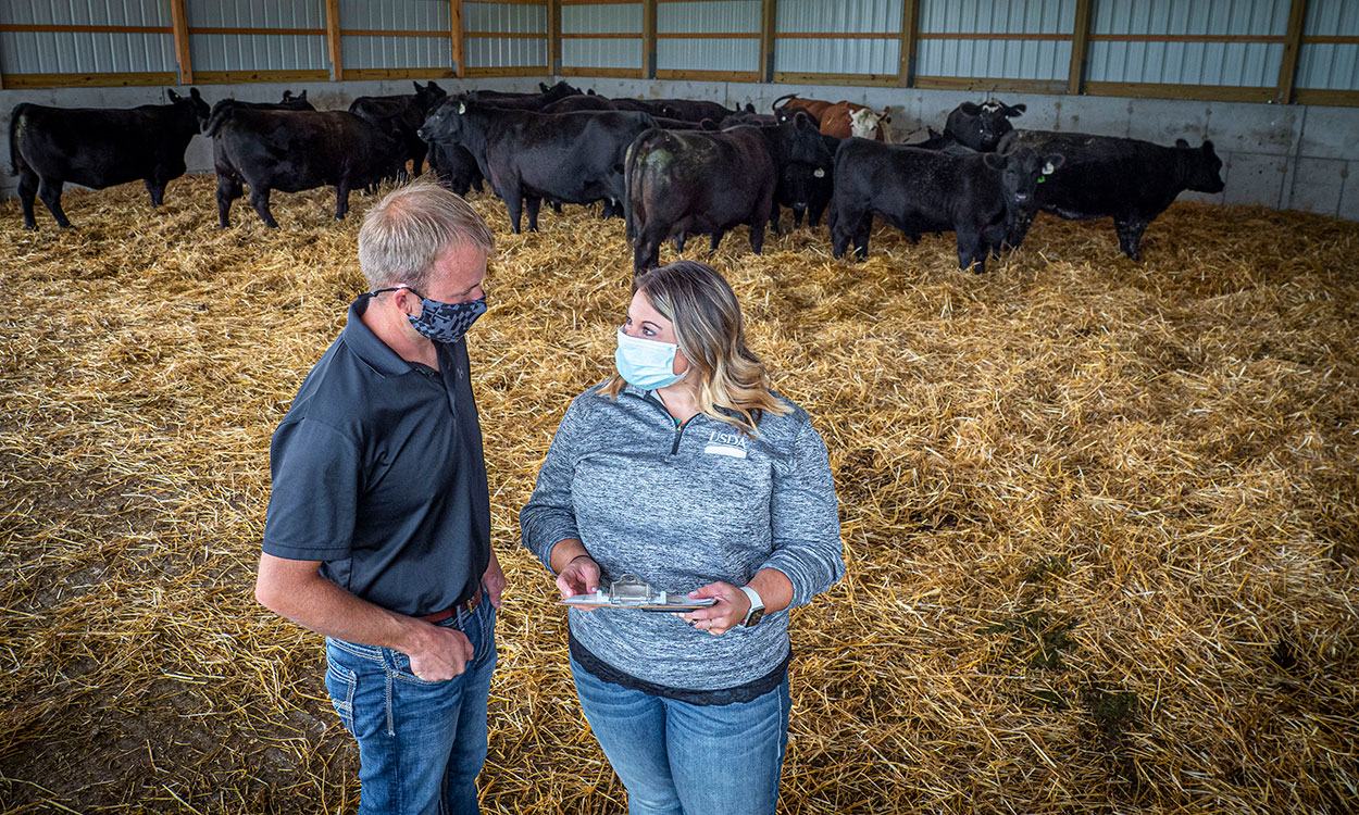 Producer and ag agent reviewing paperwork in a cattle shed.