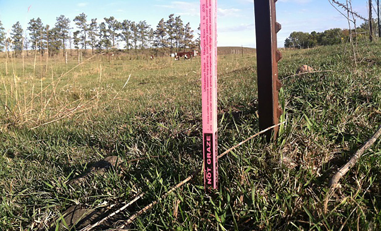 Grazing 'DO NOT GRAZE' indicator, showing a pasture that is grazed beyond the recommended height.