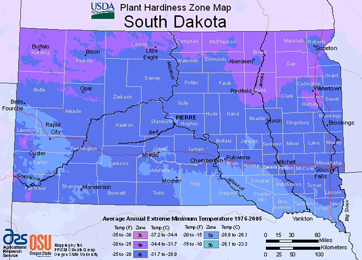 Color-coded map illustrating South Dakota’s plant hardiness zones. For more information, visit the U.S. Department of Agriculture Plant Hardiness Zone website: https://planthardiness.ars.usda.gov/PHZMWeb/