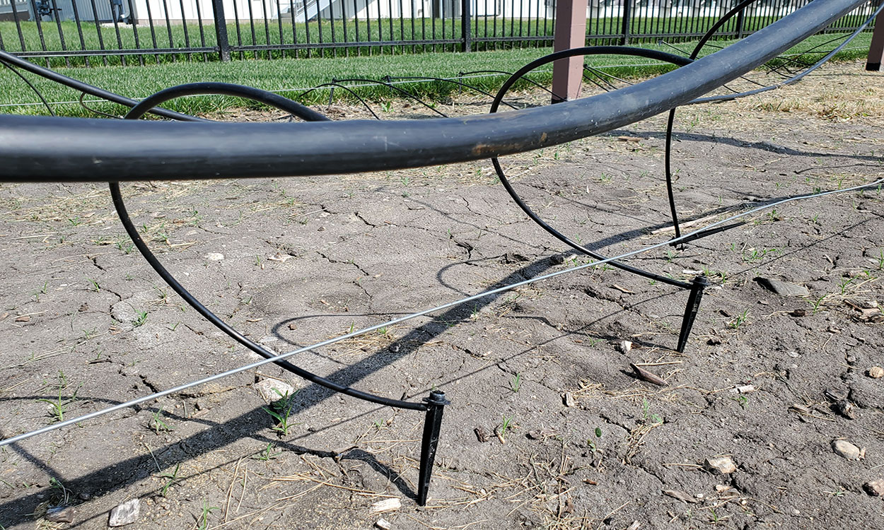 Hanging drip tube irrigation system set up in a garden.