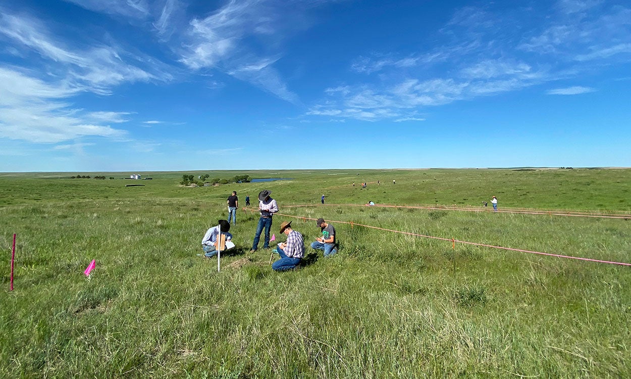 Group of youth examining range and grassland conditions.