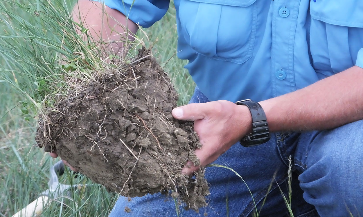 Producer holding a clump of healthy, plant-rich soil.