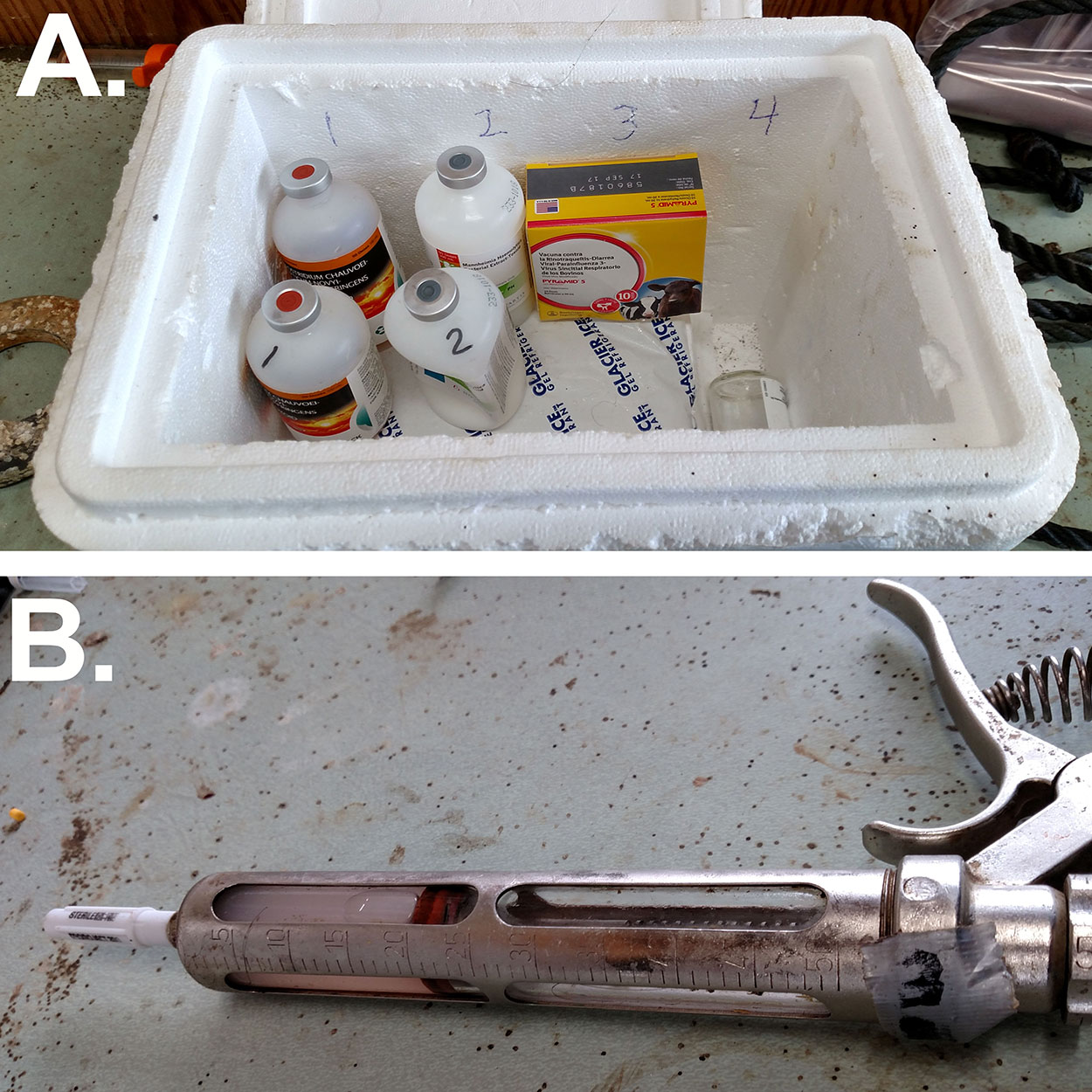 A. A well-organized cooler with numbered supplies. B. A syringe labeled “3.”