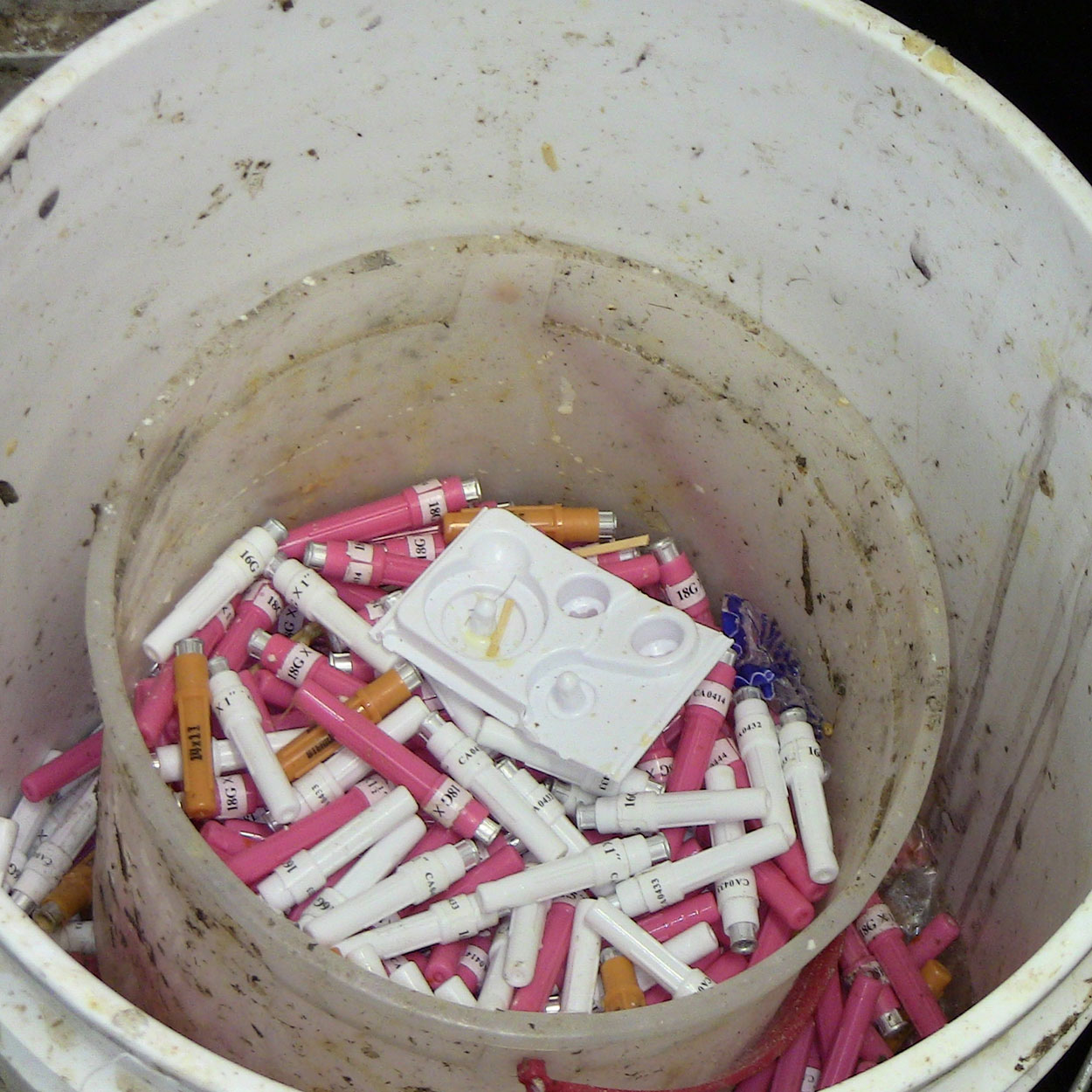 Unsafe sharps disposal container with several syringes and no lid.