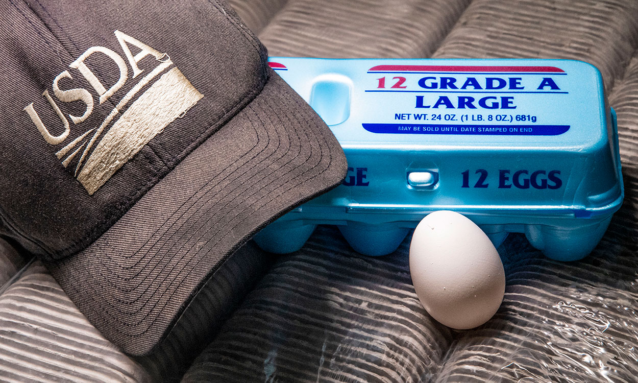 Carton of USDA-inspected eggs next to a USDA hat.