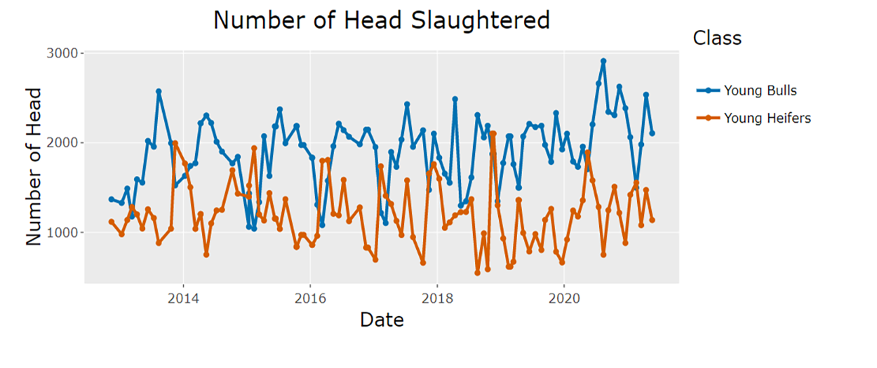 Screenshot of sample “Number of Head Slaughtered” output. For a detailed description, call SDSU Extension at 605-688-6729.