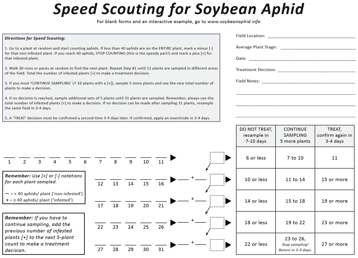 Speed scouting worksheet for soybean aphid management.