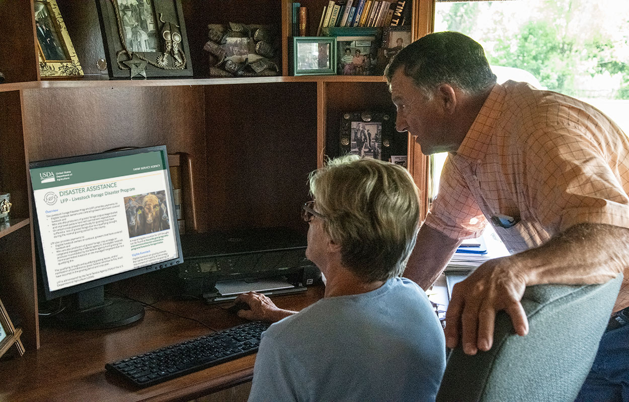 Ranchers viewing USDA disaster assistance information on a computer in a home office.