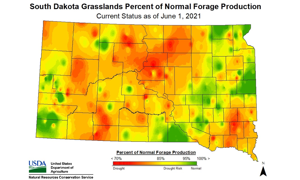 Color-coded map of South Dakota indicating status of forage production throughout the state. As of June 1, 2021, there was a reduction in grass and alfalfa production across the state. For an in-depth description of this graphic, call SDSU Extension at 605-688-6729.
