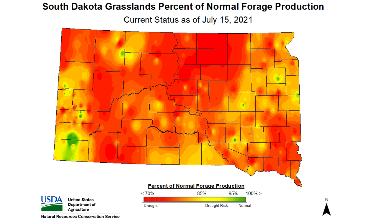 Color-coded map of South Dakota indicating status of forage production throughout the state. With the exception of small pockets, most of the state is classified as drought risk to drought, and a large portion of counties are at or near the 70% or less of normal forage production. For an in-depth description of this graphic, call SDSU Extension at 605-688-6729.