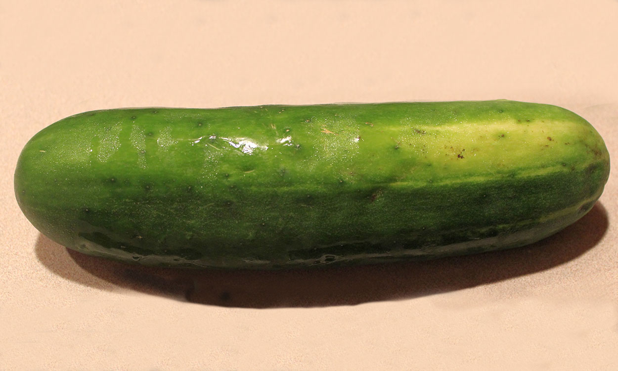 A slicing cucumber that is about 11 inches long with crisp, green flesh.