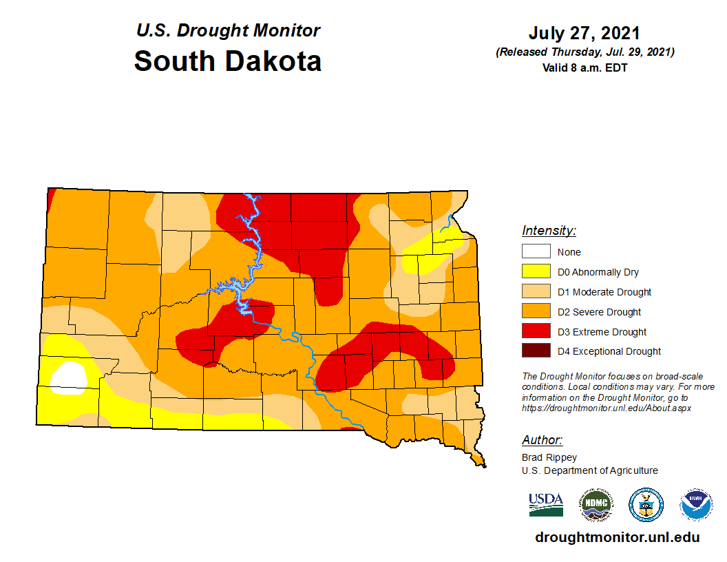 Color-coded drought monitor map of South Dakota. As of July 27, north-central South Dakota is facing extreme drought, while the rest of the state is under abnormally dry to severe drought conditions. A small portion of the southwest has adequate moisture.