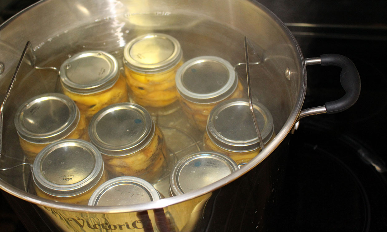 Several jars of sealed, canned peaches in a boiling water bath.