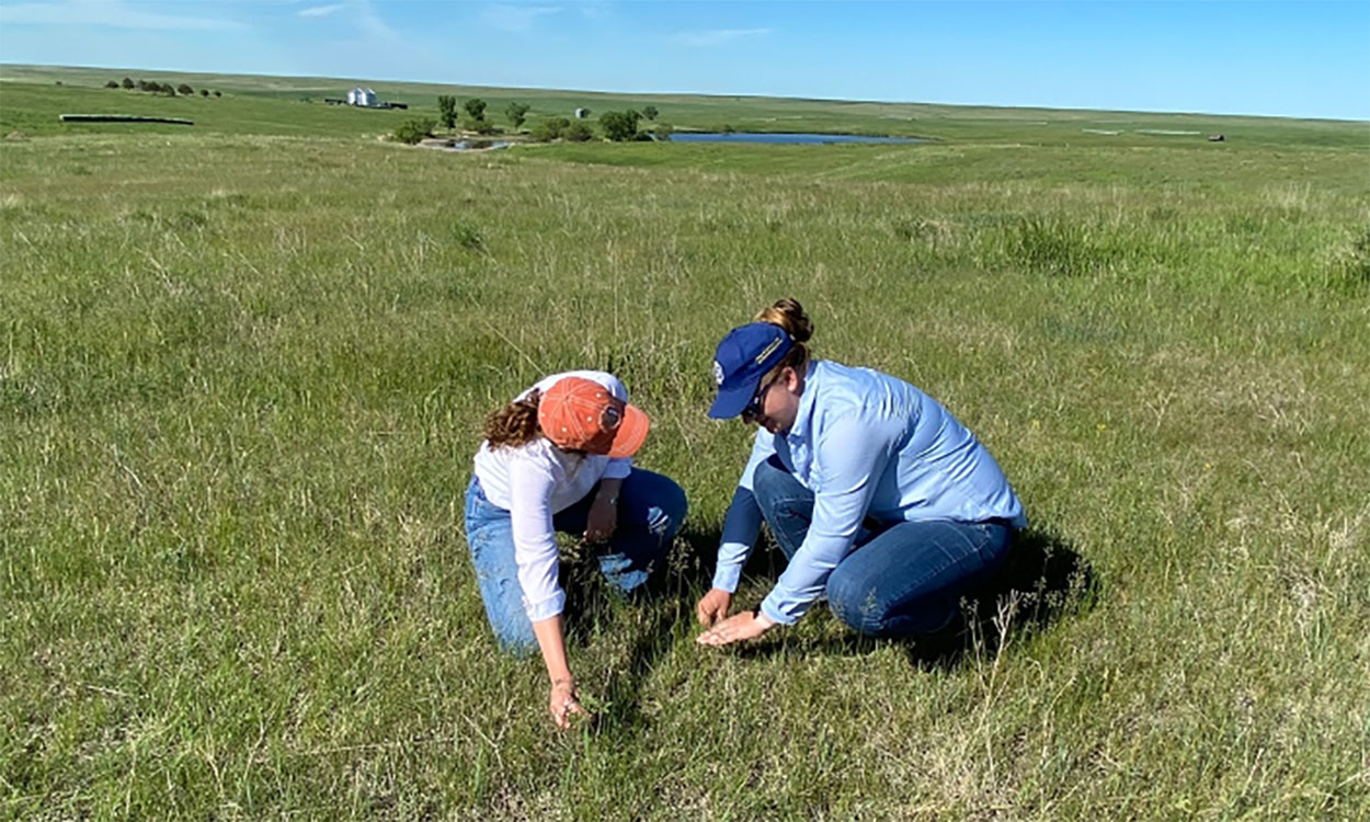 Two young woman inspecting plants growing on a vast, open range.